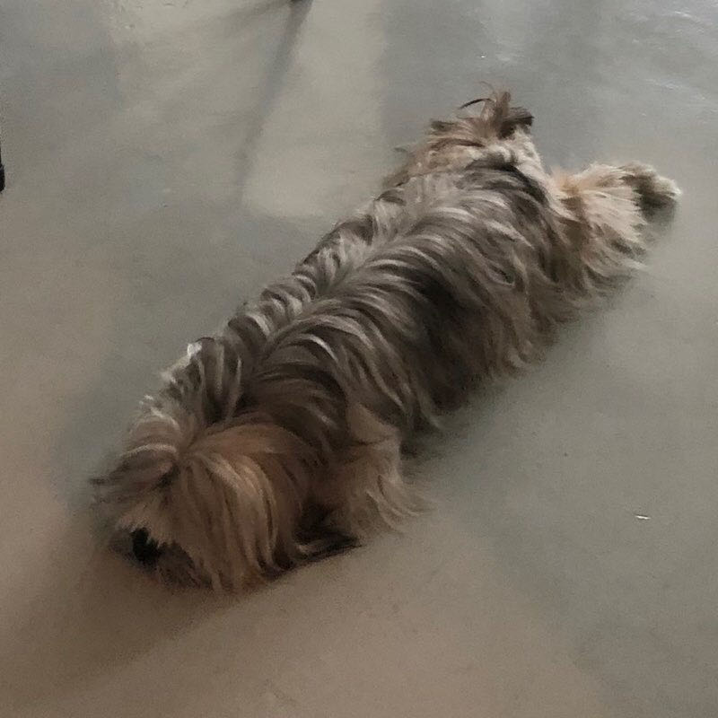 Ghada Alkhidhr profile