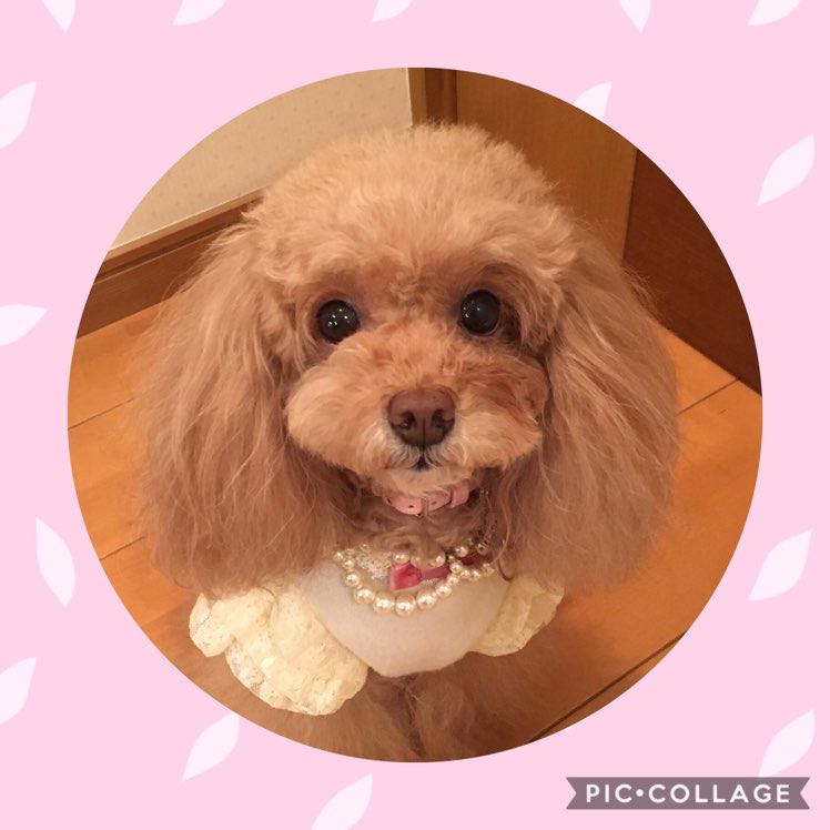 のんのん