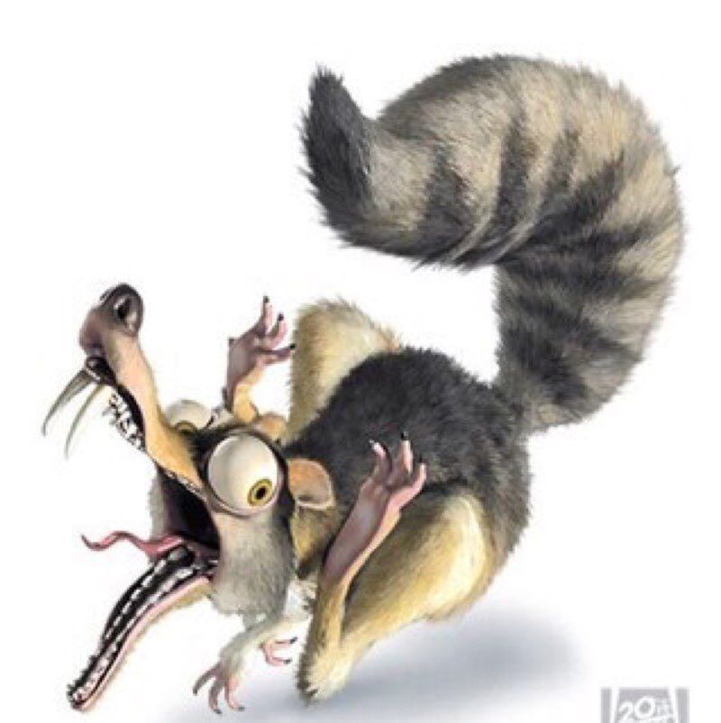 Lilly 🇨🇭🇵🇹