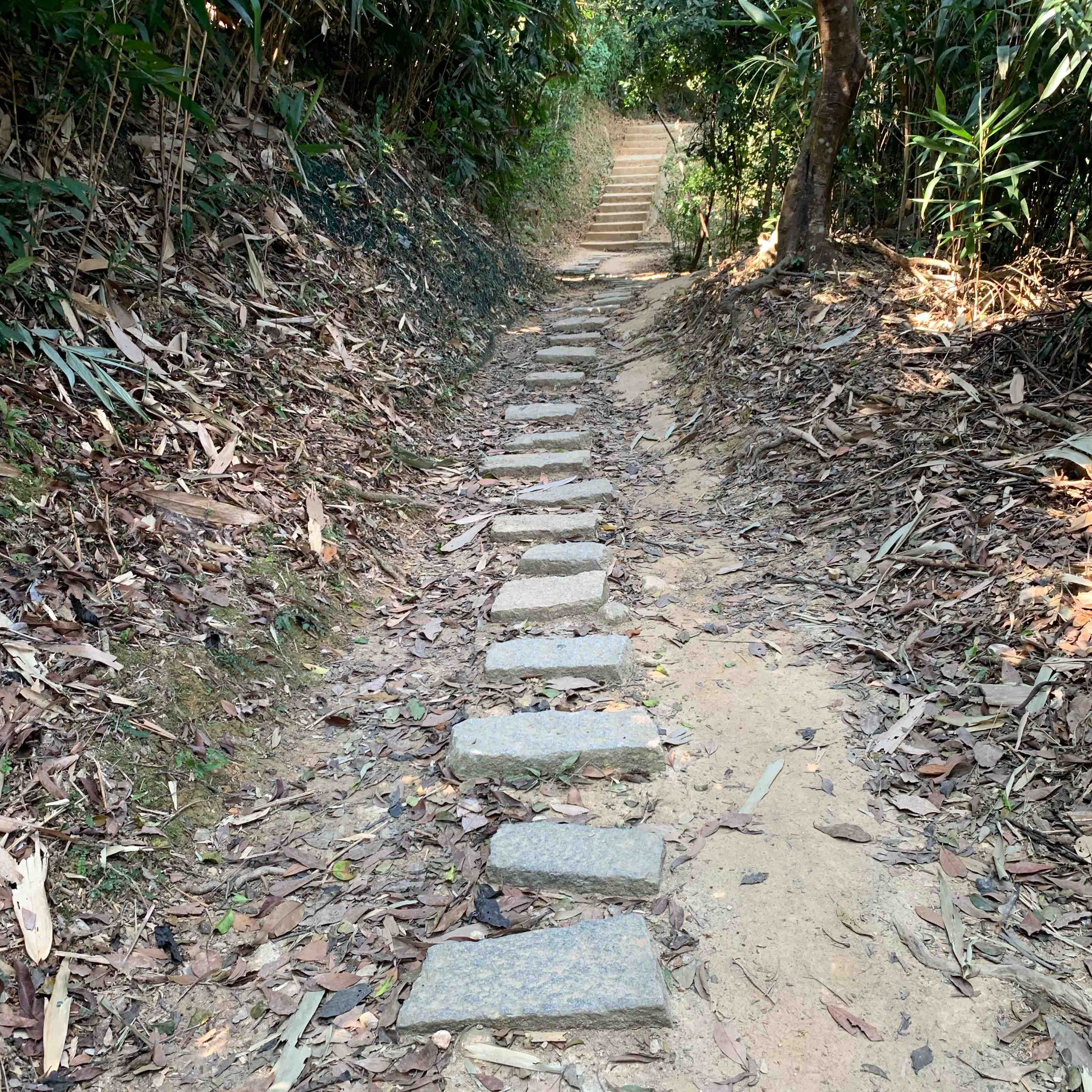 TYTBG 同步萬里人 logo