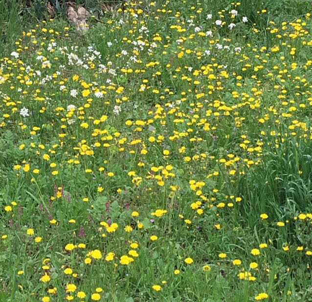 Pierre-Marie profile