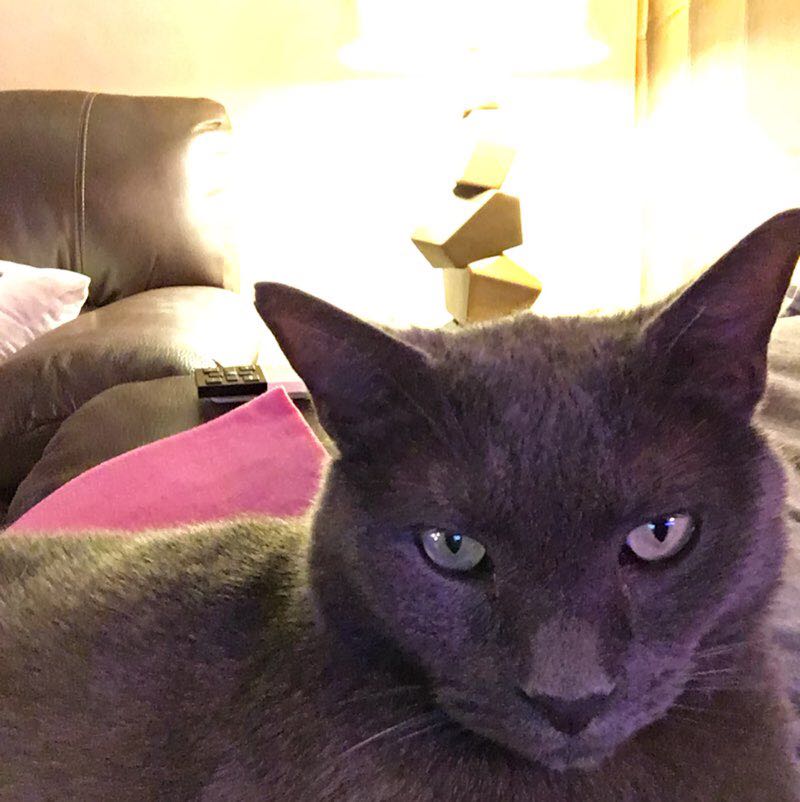 titou78