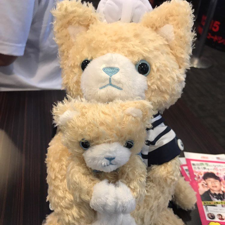 かぼたん profile