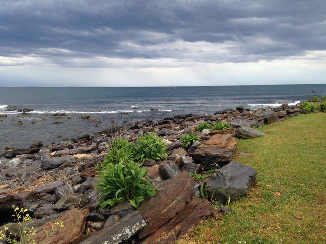 kat 🐩📷🍎🌸🌊 profile