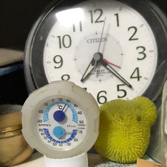 かめせんべ profile