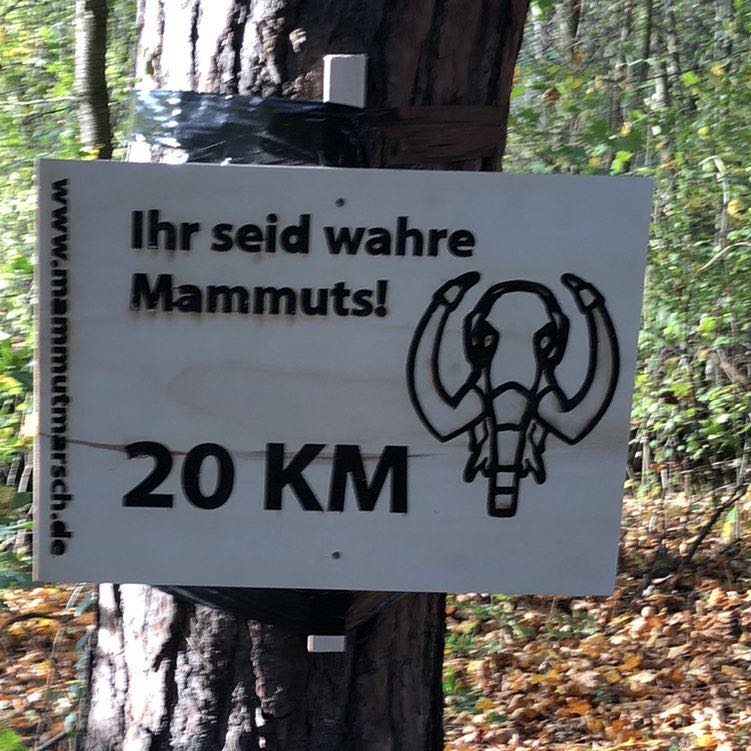 Finchen