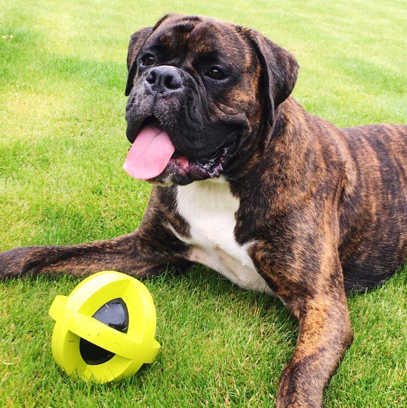 Carla🏴󠁧󠁢󠁳󠁣󠁴󠁿 profile