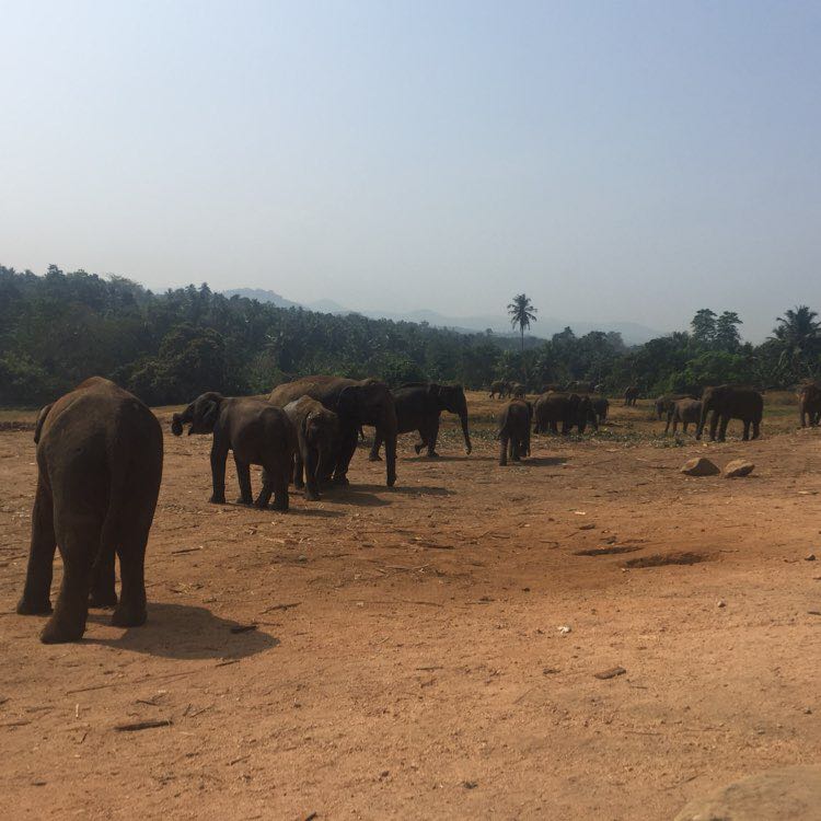 Молина profile