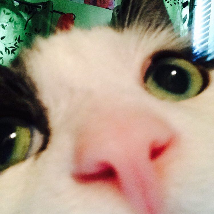 dynamite.tnt 🚶‍♀️🏃🏼‍♀️🐾🐾🐾🐞🐞👣👣