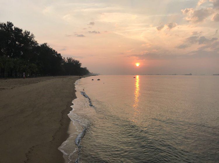 Chris L 🌻🍎🥦🌹