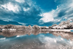 Шагомерчики😊 logo